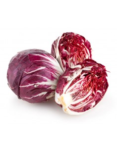 Radicchio